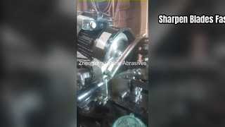 Discos de afiação de serra de fita Shine Abrasives 5'' CBN para perfil WM10/30.